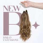 Halo Extensions The Shy Girl #DU